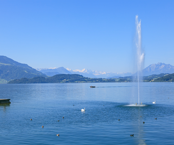 a water fountain in the middle of a lake with birds and mountains in the background