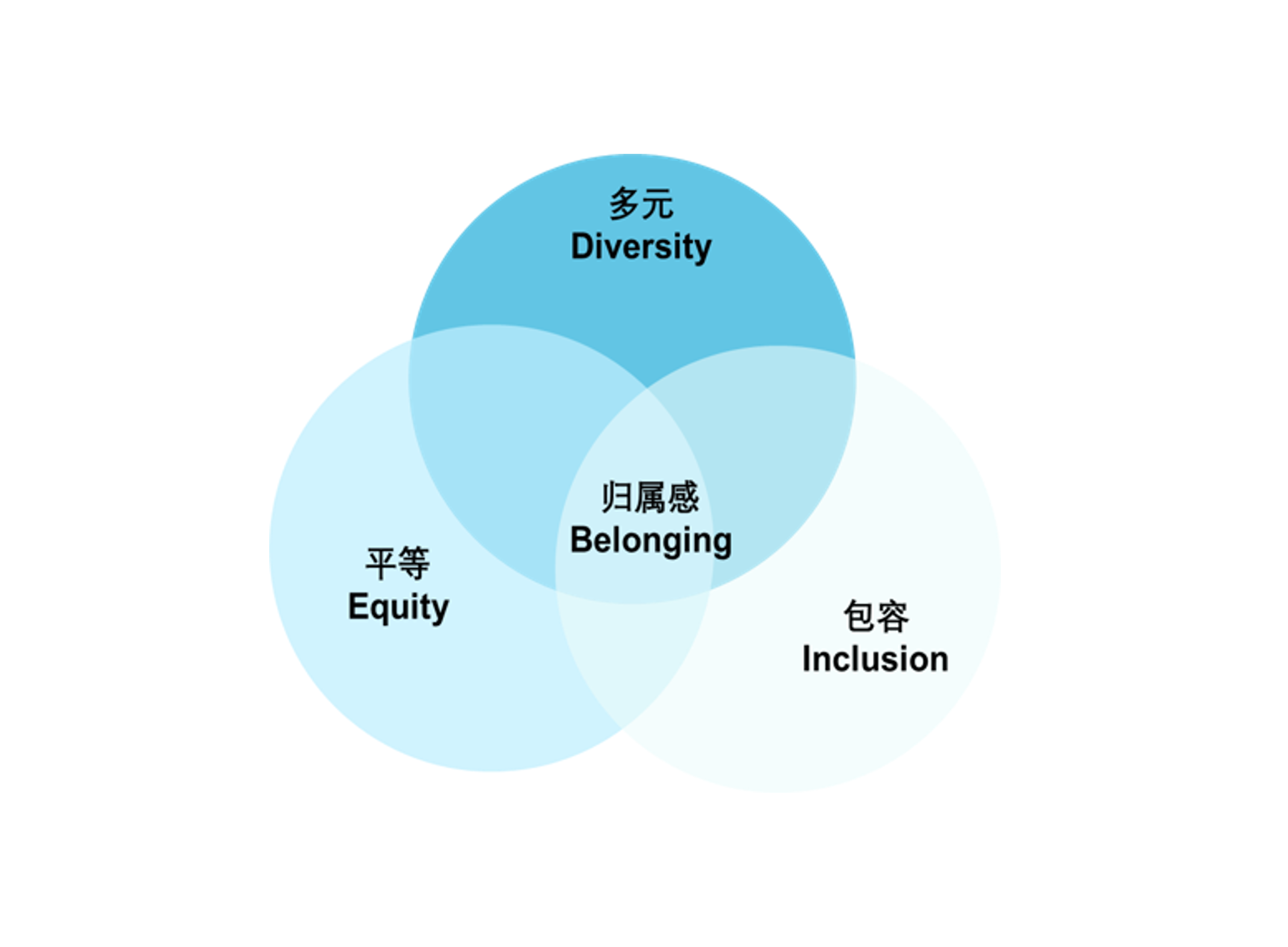 DEIB图片 (1)