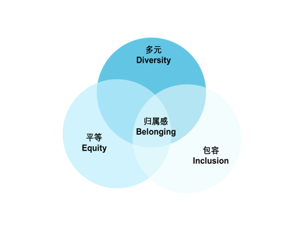 DEIB图片 (1)