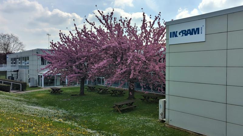 un groupe d’arbres avec des fleurs roses devant un bâtiment