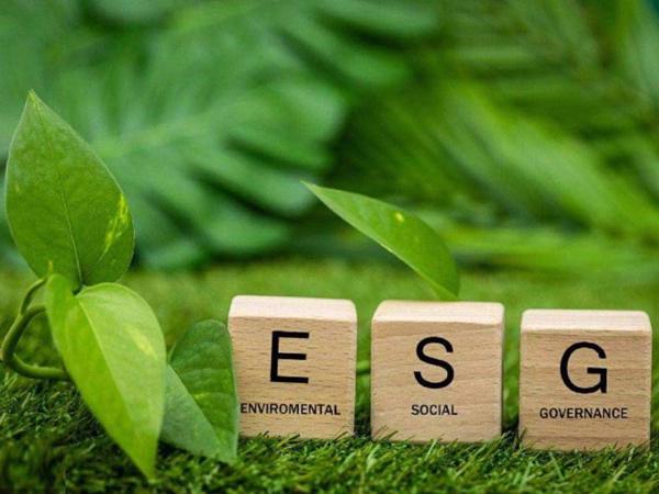 wooden blocks with letters on them and leaves on the ground