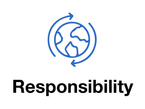 Responsibility Carousel
