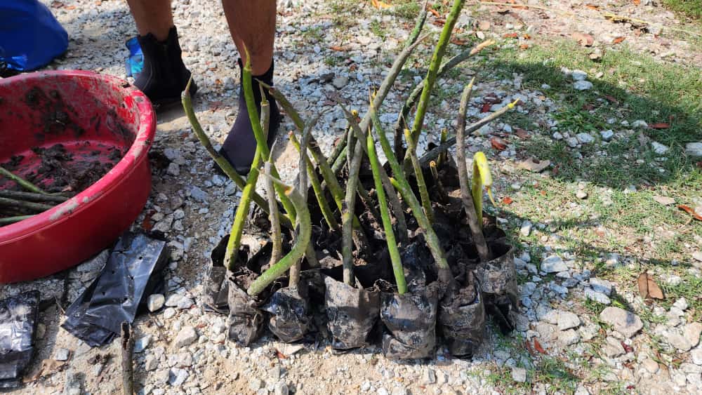 Whatsapp Image 2025 09 20 At 11.20.45 AM