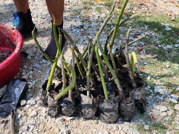 Whatsapp Image 2025 09 20 At 11.20.45 AM