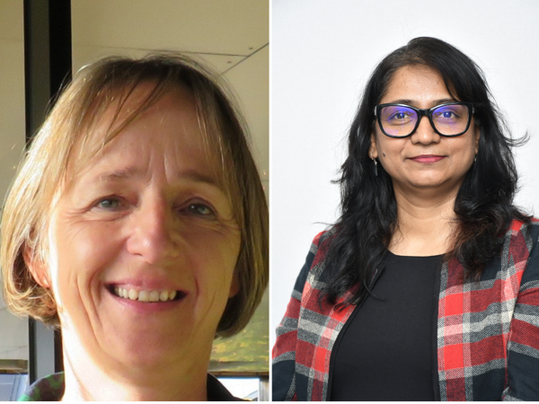 Diseño Sin Título (2)